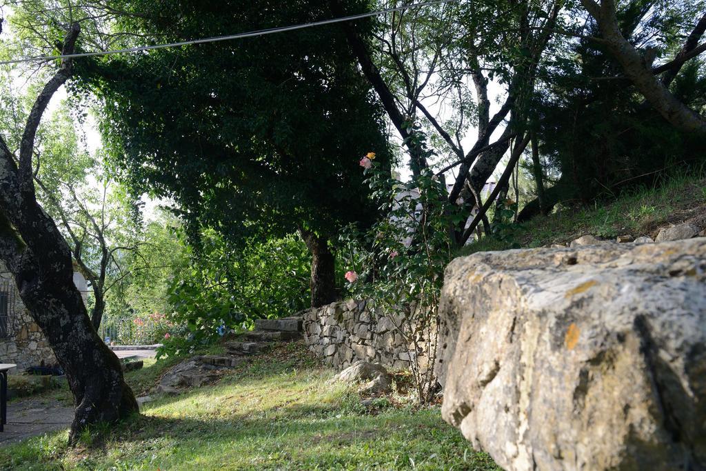 Agriturismo Le Cerinaie Castelnuovo di Val di Cecina Exterior foto